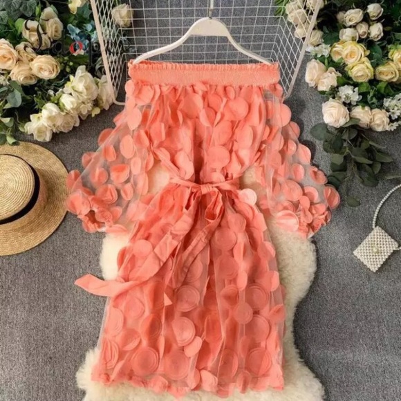 Dresses & Skirts - New Floral Sheer Mesh Summer Dress Size: Medium